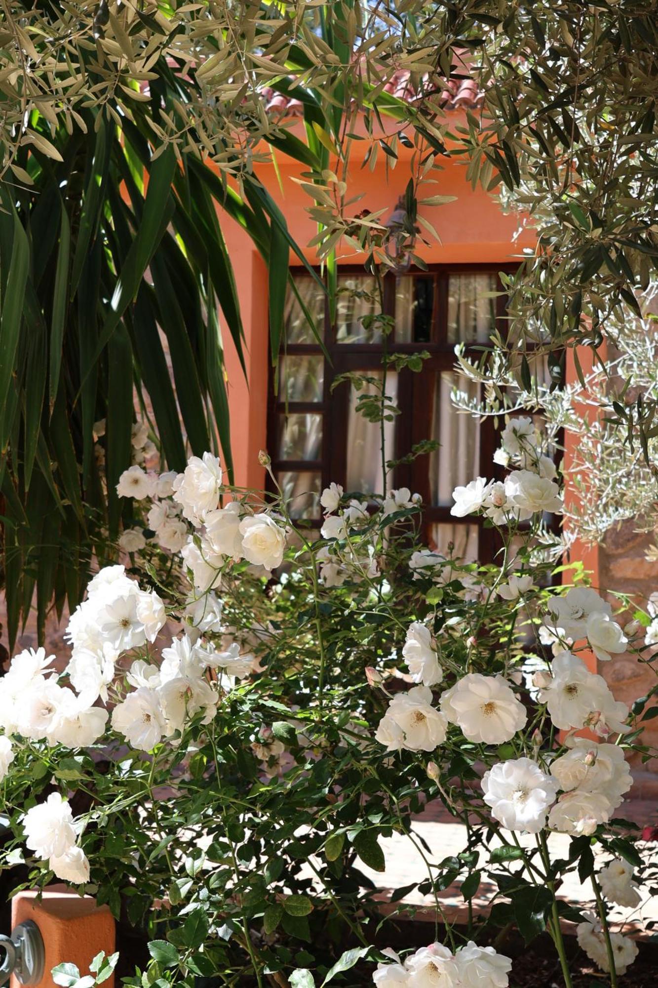 Domaine De La Roseraie Resort Ouirgane Dış mekan fotoğraf