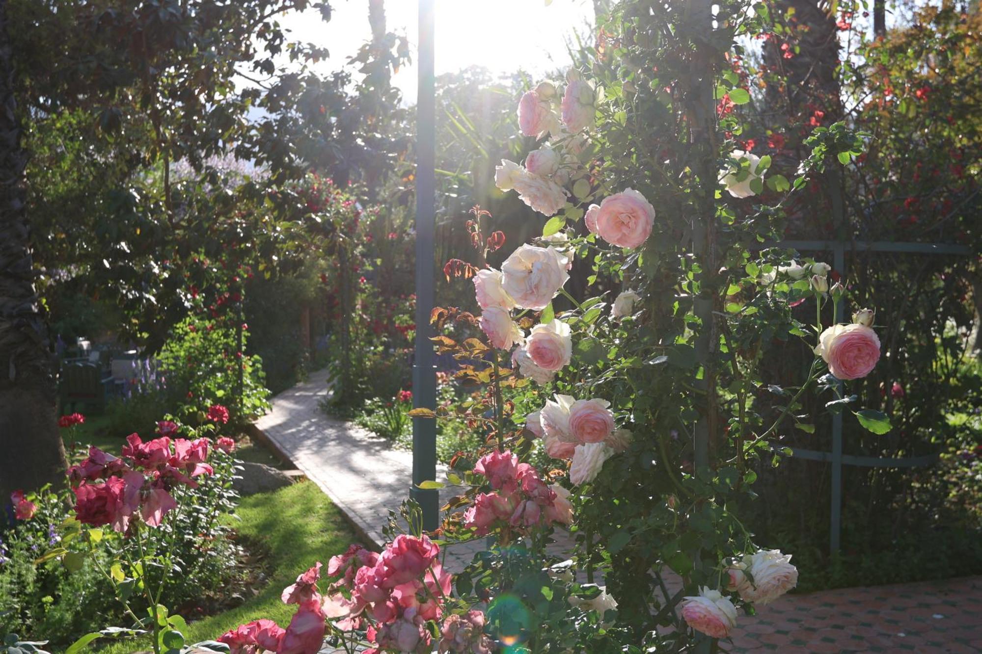 Domaine De La Roseraie Resort Ouirgane Dış mekan fotoğraf