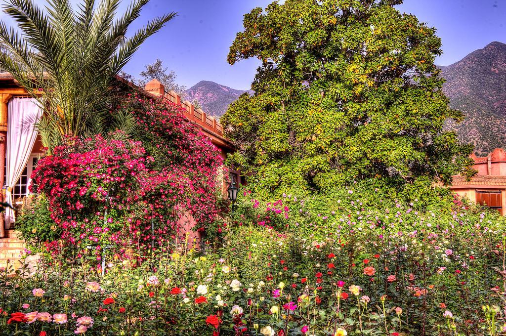 Domaine De La Roseraie Resort Ouirgane Dış mekan fotoğraf