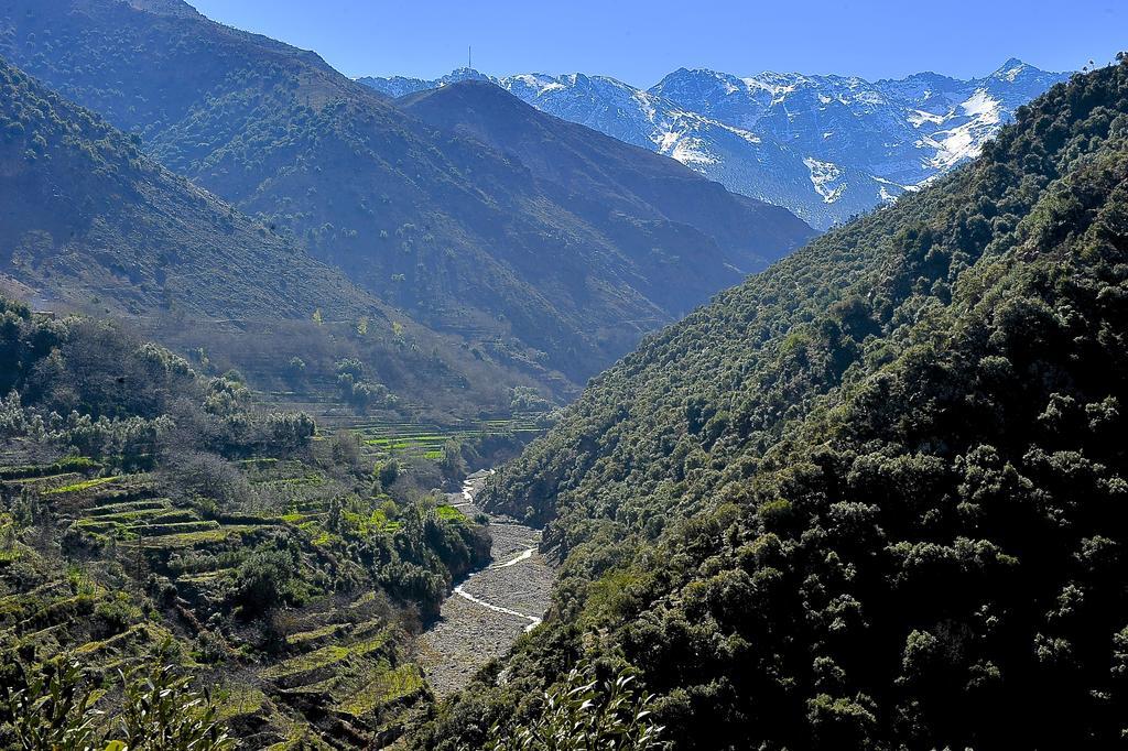 Domaine De La Roseraie Resort Ouirgane Dış mekan fotoğraf