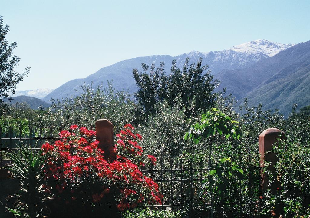 Domaine De La Roseraie Resort Ouirgane Dış mekan fotoğraf