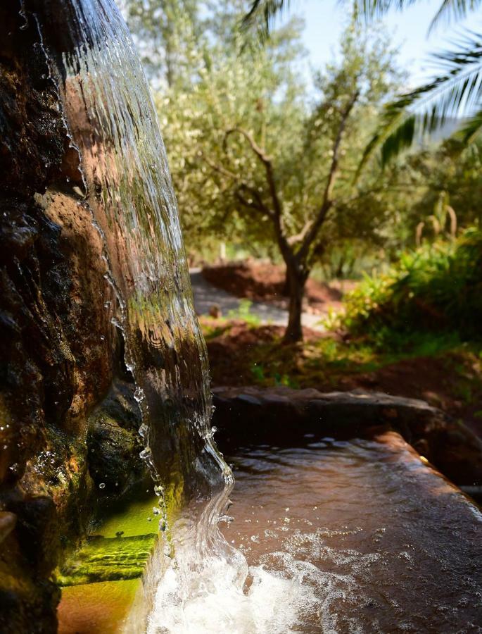 Domaine De La Roseraie Resort Ouirgane Dış mekan fotoğraf